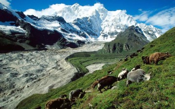 China is home to almost 15 percent of the glaciers in the world.