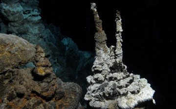 The microbe was found at 2,352 metres depth in the Atlantic between Norway and Greenland.