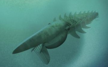 'Submarine Crab' Fossil