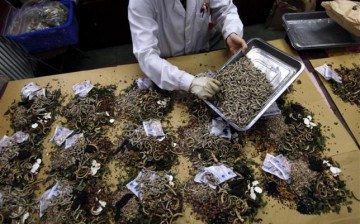 Western-based experts see the integration of Traditional Chinese Medicine and conventional Western medicine as the future of medical science.