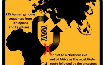 Route early humans took out of Africa