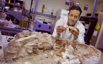 Vertebrate paleontologist Michael D'Emic