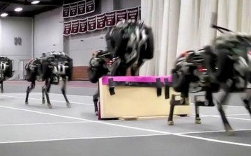 MIT's robot cheetah jumps