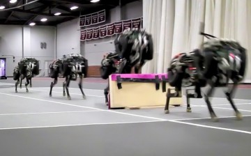 MIT researchers have trained their robotic cheetah to see and jump over hurdles as it runs — making this the first four-legged robot to run and jump over obstacles autonomously.