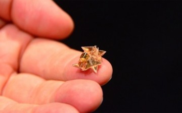 This tiny robot can fold itself, walk, swim and even dissolve after the task is finished.