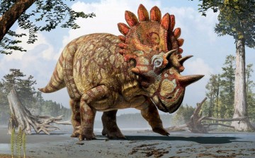 Regaliceratops peterhewsi 'Hellboy' dinosaur