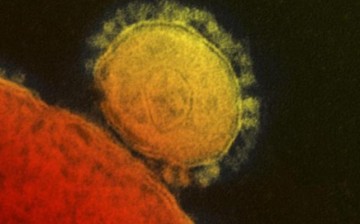 The new remedy could be the cure to the deadly MERS-Cov.