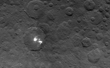 The brightest spots on dwarf planet Ceres are seen in this image taken by NASA's Dawn spacecraft on June 6, 2015. 