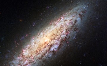 This NASA/ESA Hubble Space Telescope image shows galaxy NGC 6503.