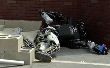 A video from DARPA's Robotic Challenge went viral for its poor falling robots.