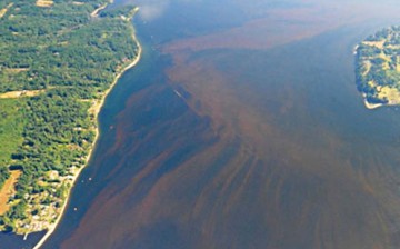 Toxic algae blooms already span from California to northern Washington state.