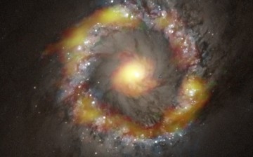 Central region of NGC 1097 observed with ALMA. The distribution of hydrogen cyanide (HCN) is indicated in red and formyl cation (HCO+) in green, and synthesized with an optical image taken by the Hubble Space Telescope. 