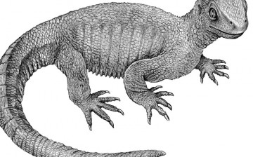 Artist's concept of the shell-less grandfather turtle.