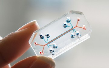 Organs on Chips