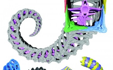 3D-printed models that mimic a seahorse tail were designed not only for potential engineering applications but also to answer the biological question, why might tails organized into square prisms be better than cylinders?