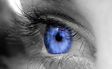 blue iris 