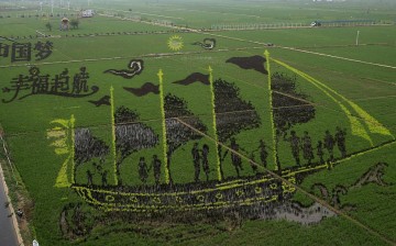 A 3D image on a rice paddy in Xibo town, Shenyang, Liaoning Province.