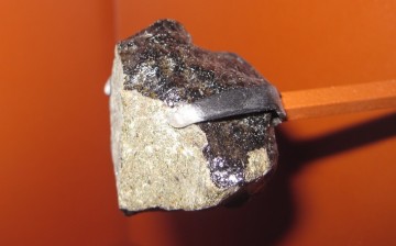 This Nakhla Martian meteorite apparently holds traces of opal that can lead to evidence of microbial life.