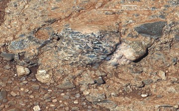 Igneous clast named Harrison embedded in a conglomerate rock in Gale crater, Mars, shows elongated light-toned feldspar crystals.