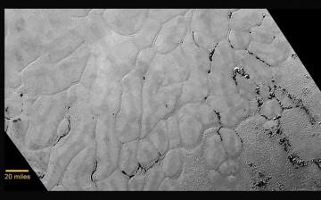In the center left of Pluto’s vast heart-shaped feature – informally named “Tombaugh Regio” - lies a vast, craterless plain that appears to be no more than 100 million years old, and is possibly still being shaped by geologic processes.