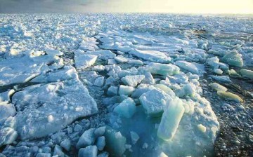 Every year the Arctic Ocean experiences the formation and then melting of vast amounts of ice that floats on the sea surface. This sea ice plays a central role in polar climate and the global ocean circulation pattern.