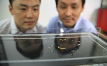 Seoul National University (SNU) professors Ho-Young Kim (from left) and Kyu-Jin Cho watch the semi-aquatic jumping robotic insects developed by a team from SNU and Harvard.