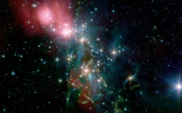 Located 1,000 light years from Earth in the constellation Perseus, a reflection nebula called NGC 1333 epitomizes the beautiful chaos of a dense group of stars being born.