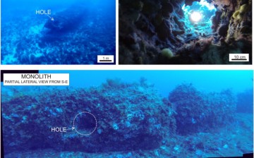 Underwater composite photographs taken from divers, showing the discovered monolith and some details.