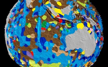 A still shot of the world's first digital map of the seafloor's geology.