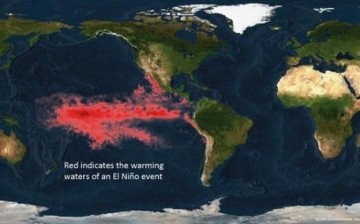 The National Oceanic and Atmospheric Administration (NOAA) image shows the warming waters of an El Nino event in the Pacific Ocean.