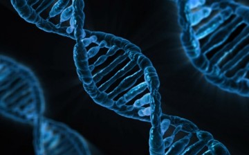 A fraction of an ounce of DNA can store up to 300,000 terabytes of digital data.