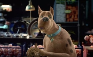 Scooby-Doo may return to the big screen.