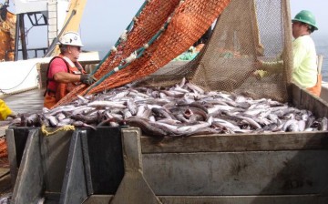 Rope trawl for midwater trawling.