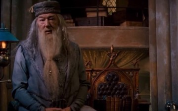 Dumbledore is Death, according to a fan theory.
