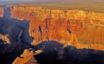 Traces of mercury and selenium are found in wildlife in the Grand Canyon.