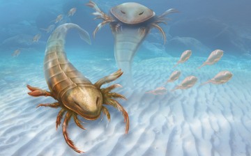 Artistic conception of the Pentecopterus decorahensis, an ancient predator of the seas. 