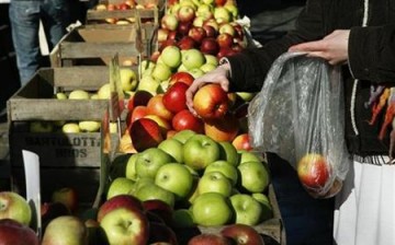 Red and Green Apples 