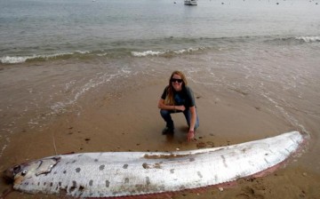 Oarfish rising to the water's surface is believed  to be a sign of an impending earthquake; scientists have noted the creature's sensitivity to seismic shifts.