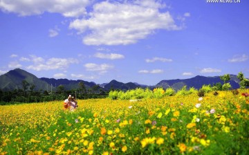 People enjoy themselves among flowers at Changping District, on the outskirts of Beijing, capital of China, Sept. 12, 2015. 