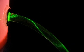 Fiber Optics Cables