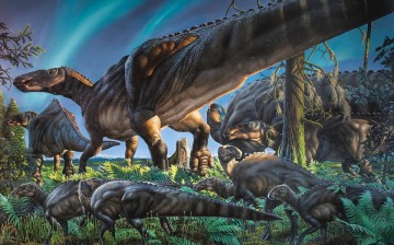 A new species of duck billed, plant eating dinosaurs were discovered in Alaska.