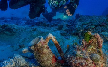 Archaeologists excavating the famous ancient Greek shipwreck that yielded the Antikythera mechanism have recovered more than 50 items including an intact amphora; a large lead salvage ring; two lead anchor stocks (possibly indicating the ship’s bow); frag