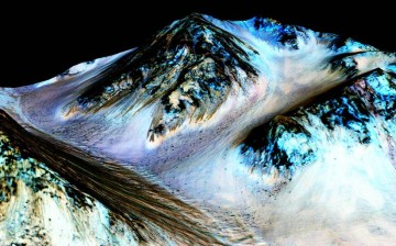 These dark, narrow, 100 meter-long streaks called recurring slope lineae flowing downhill on Mars are inferred to have been formed by contemporary flowing water.