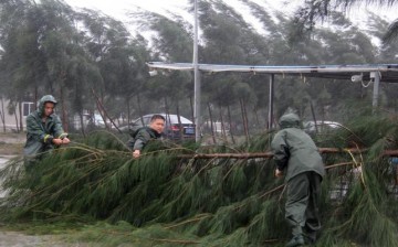 People try to remove a fallen tree branch from a street during Typhoon Mujigae in Maoming, Guangdong Province, Oct. 4, 2015.