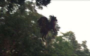 An alleged pic of Jersey Devil is trending online.
