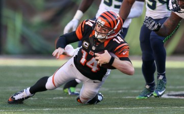 Cincinnati Bengals quarterback Andy Dalton (#14).