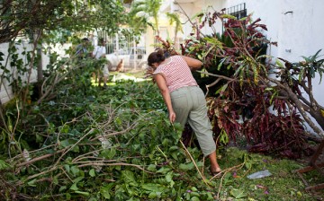 A woman climbs through tree branches in her backyard on October 24, 2015 in Cuastecomates, Mexico. The damage was caused by Hurricane Patricia, which struck Mexico's West coast yesterday afternoon and left minor flooding and damage.