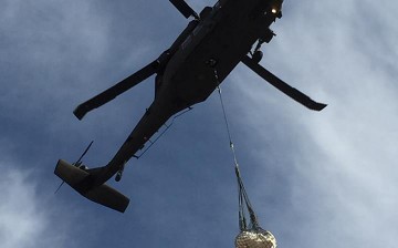 Baby Pentaceratops being airlfted from Bisti via the National Guard's Blackhawk helicopters.