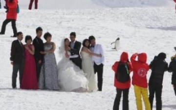 Chinese tourists in wedding garb have their pictures taken during their visit to Antarctica.
