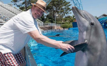 In this handout photo provided by SeaWorld San Diego, actor and comedian David Koechner spent a day with his family at SeaWorld San Diego where he met Malibu, a 17-year old female bottlenose dolphin A